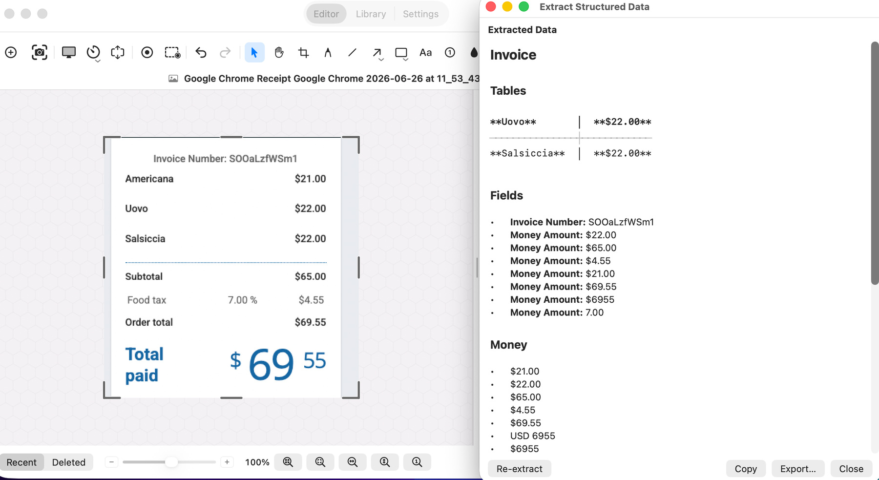 The Extracted Data window pulling an invoice apart