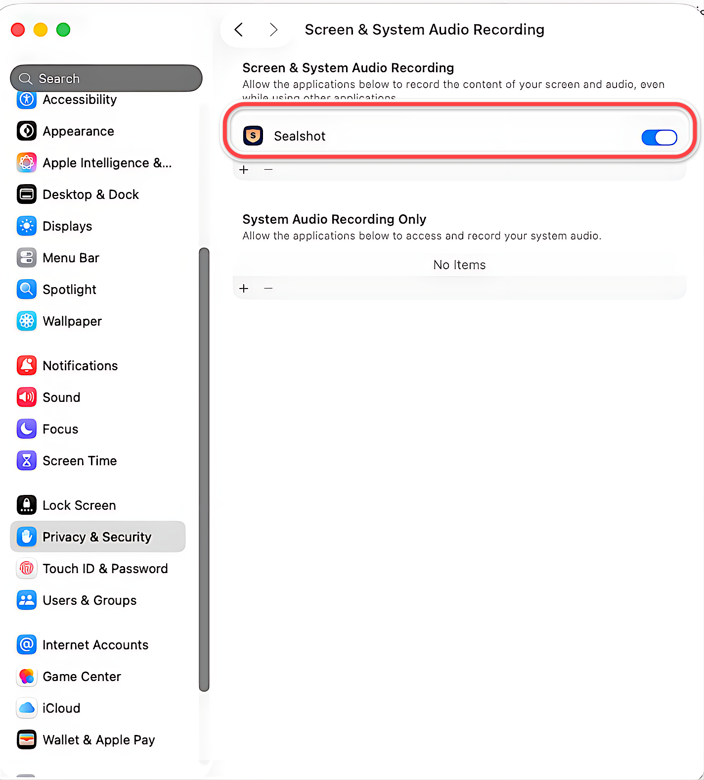 Granting Screen Recording permission in System Settings